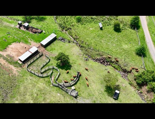 LAND FOR SALE IN MOUNT VERDE